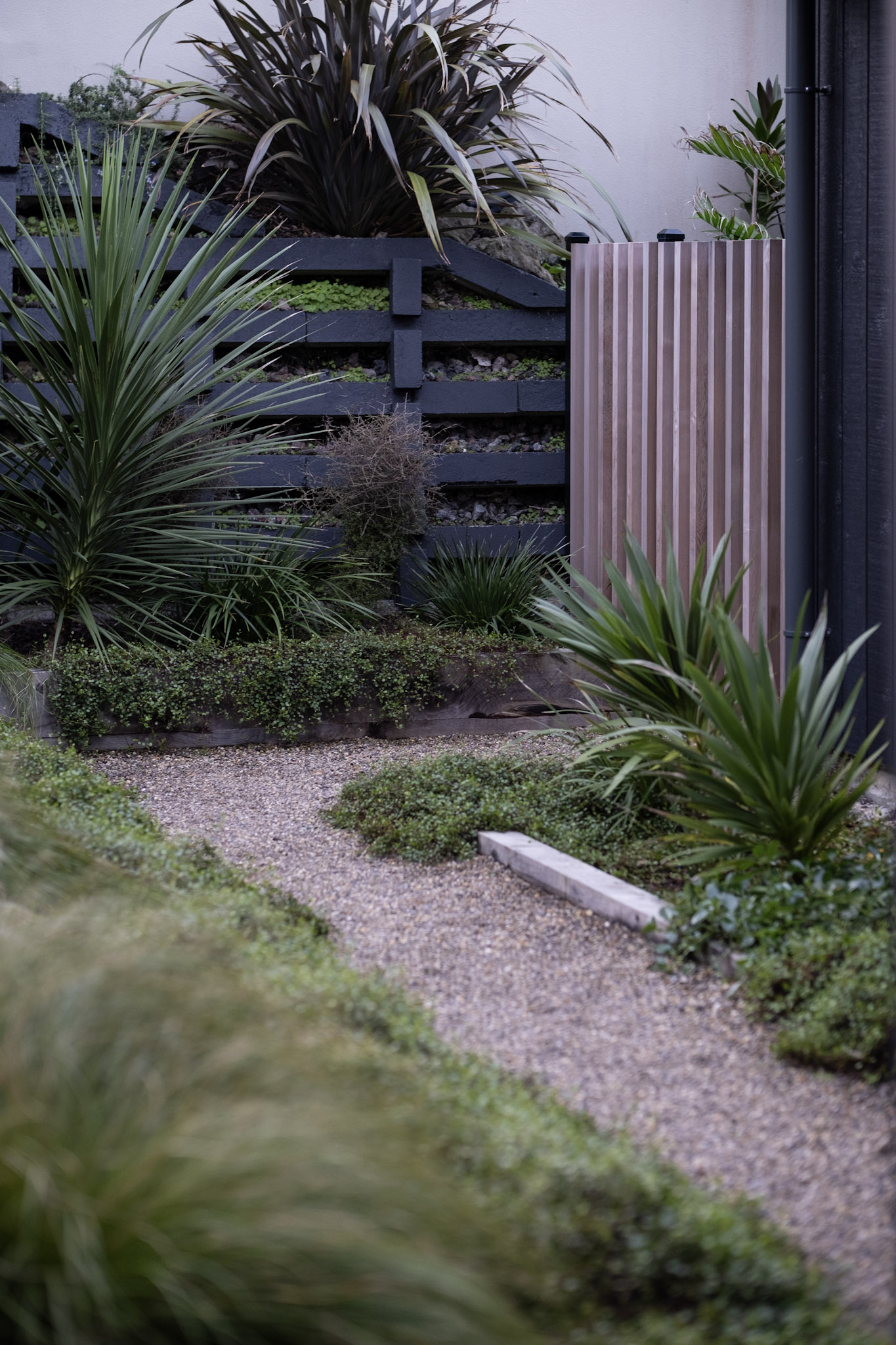 NZ Native Front Garden | Torbay