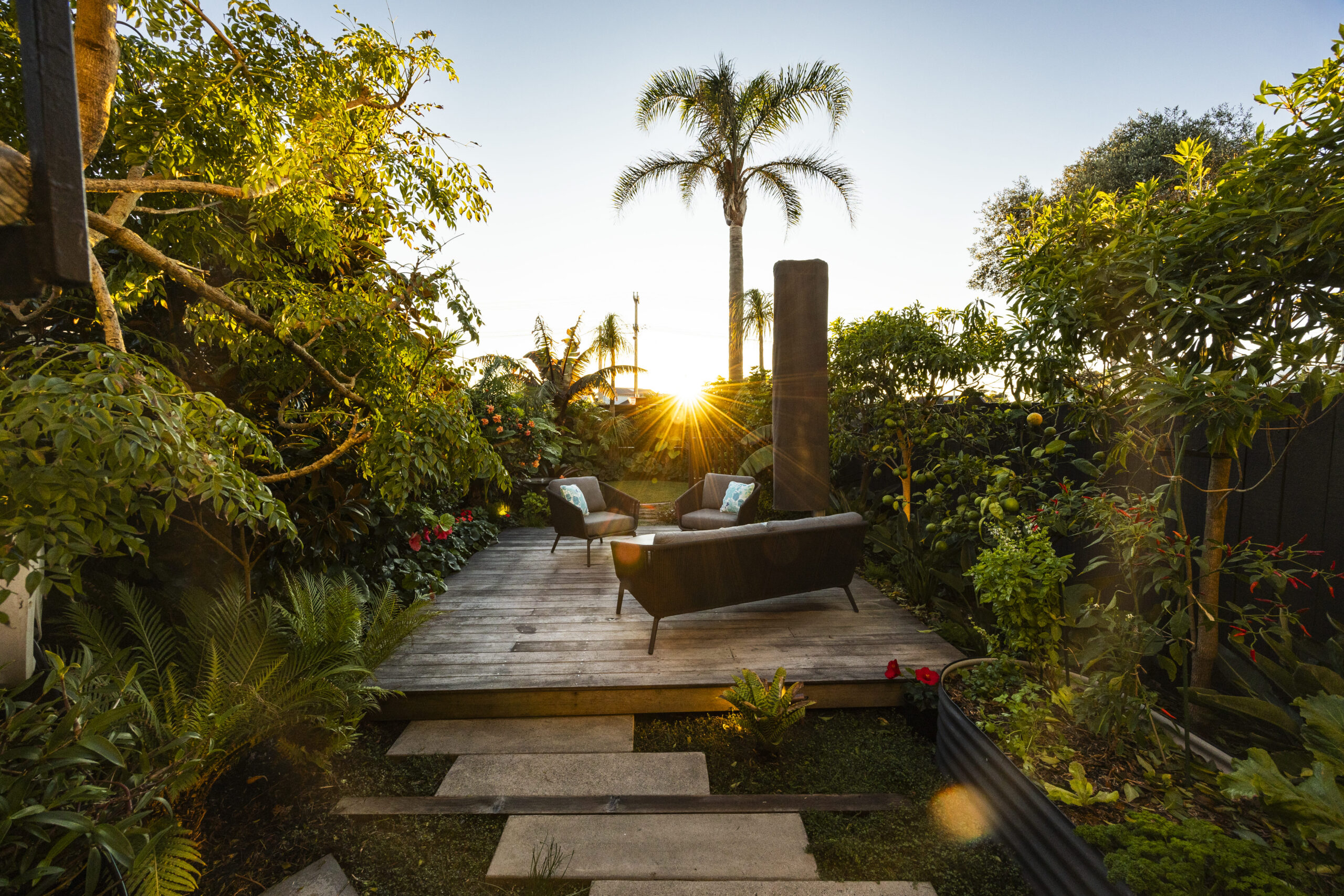 Low-maintenance, tropical garden in Milford, Auckland