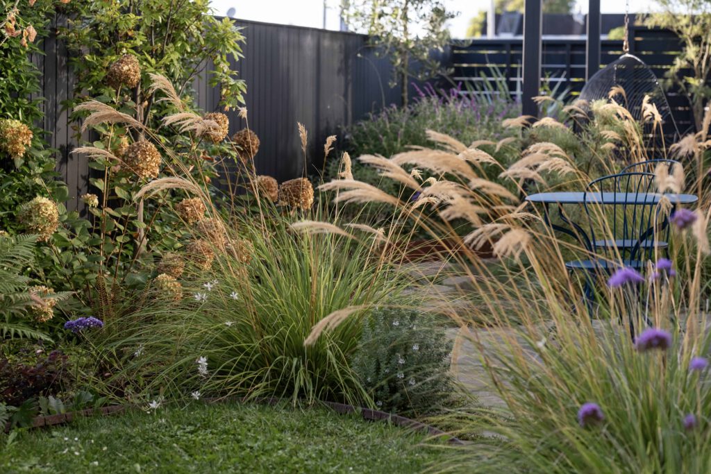 Landscape Design Auckland - Sculpt Gardens