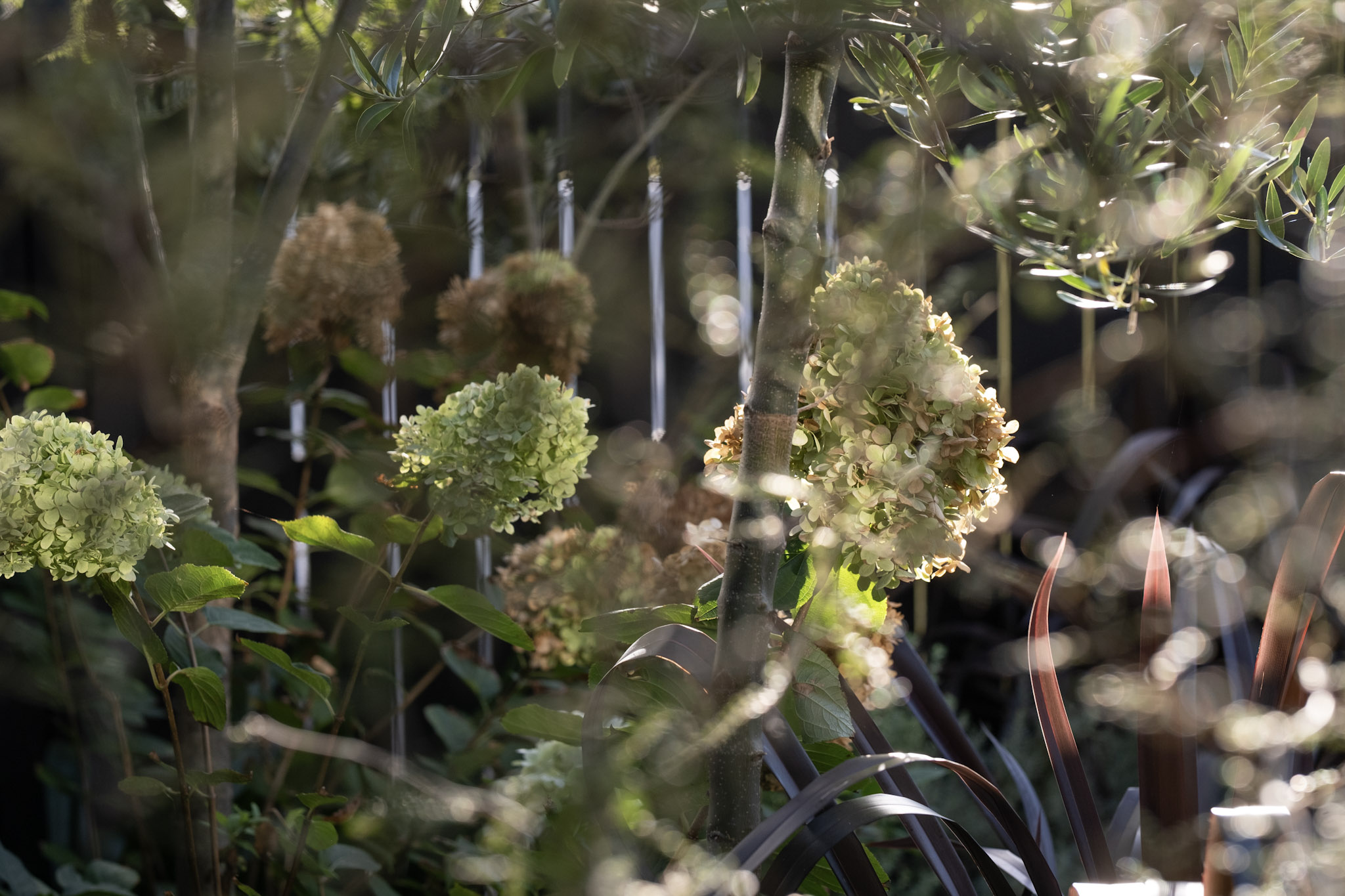 The Garden Design Consultancy