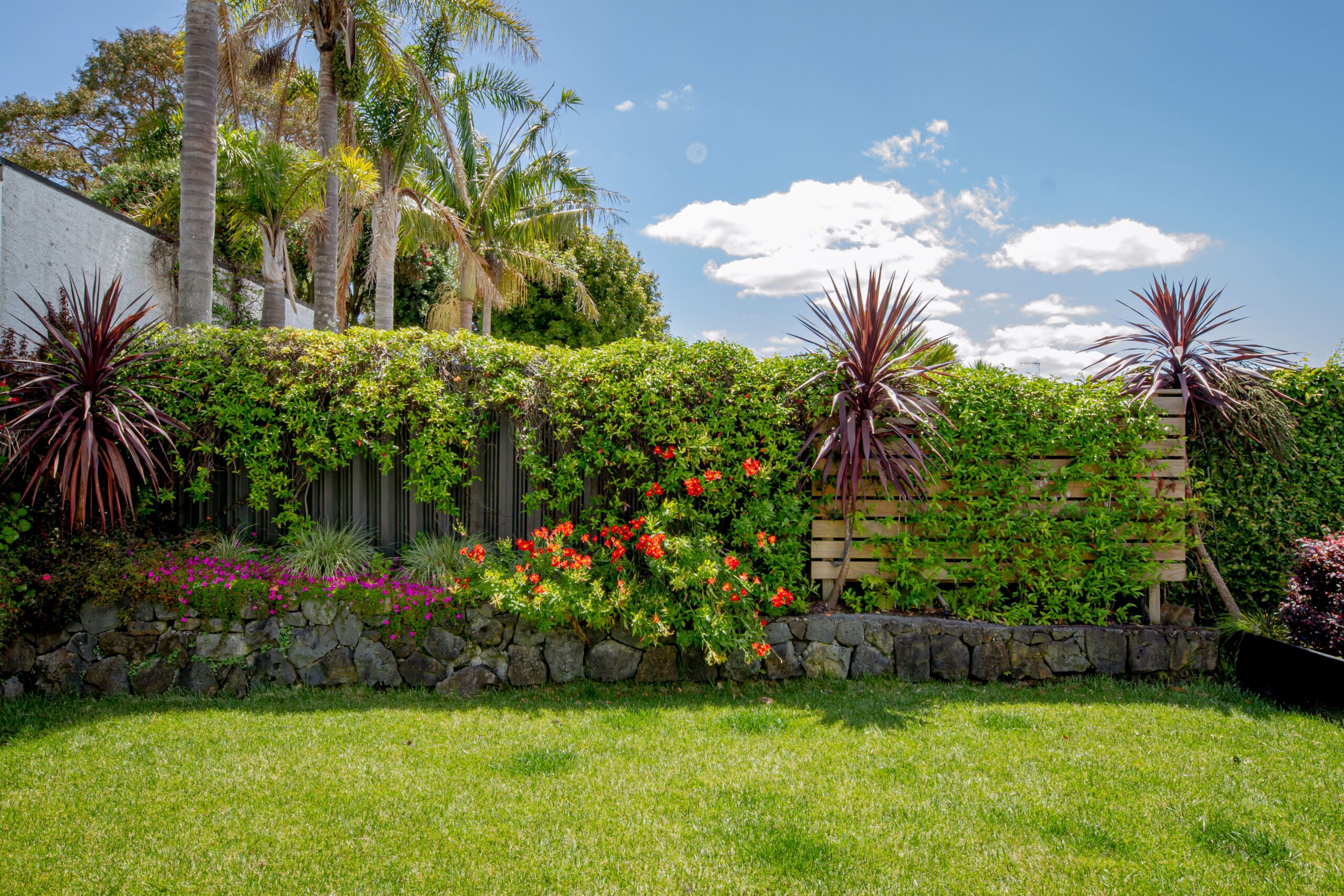 Pink Floral Garden | Stanley Bay